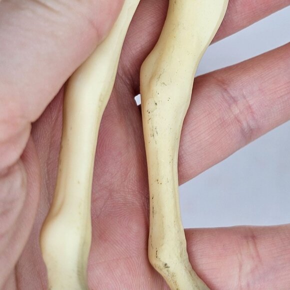 Breyer Horse Proud Arabian Foal Matte Alabaster Traditional Model No Mold Mark - Picture 9 of 15